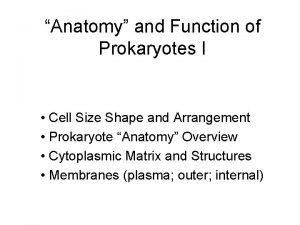 Anatomy and Function of Prokaryotes I Cell Size