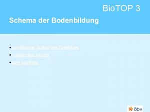 Bio TOP 3 Schema der Bodenbildung schrittweiser Aufbau