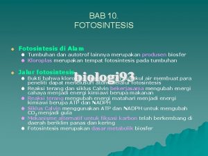 BAB 10 FOTOSINTESIS u Fotosintesis di Alam Tumbuhan