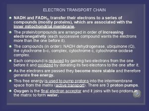 ELECTRON TRANSPORT CHAIN NADH and FADH 2 transfer