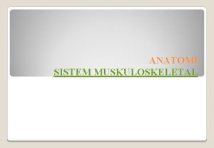 ANATOMI SISTEM MUSKULOSKELETAL SISTEM MUSKULOSKELETAL OTOTRANGKA Otot muscle