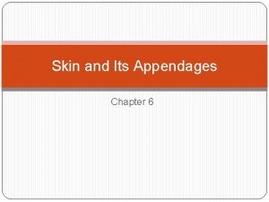 Skin and Its Appendages Chapter 6 Integument Skin