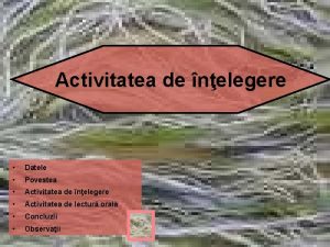 Activitatea de nelegere Datele Povestea Activitatea de nelegere