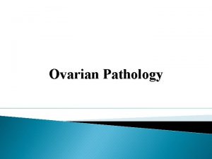 Ovarian Pathology POLYCYSTIC OVARIES also called Stein Leventhal