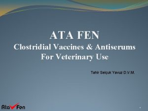 ATA FEN Clostridial Vaccines Antiserums For Veterinary Use