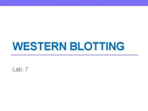 WESTERN BLOTTING Lab 7 Introduction Blotting is a