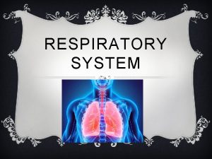 RESPIRATORY SYSTEM RESPIRATORY SYSTEM v Main function is