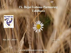 IX Bajai Gabona Partnersg Tallkoz Baja 2017 jnius