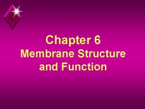 Chapter 6 Membrane Structure and Function Plasma Membrane