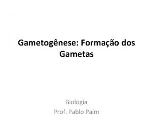 Gametognese Formao dos Gametas Biologia Prof Pablo Paim