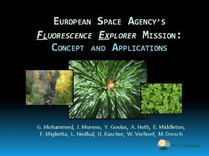 EUROPEAN SPACE AGENCYS FLUORESCENCE EXPLORER MISSION CONCEPT AND