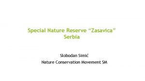 Special Nature Reserve Zasavica Serbia Slobodan Simi Nature