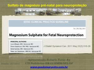 Sulfato de magnsio prnatal para neuroproteo J Obstet