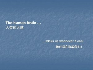 The human brain tricks us whenever it can