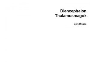 Diencephalon Thalamusmagok Dvid Csaba A diencephalon elhelyezkedse Diencephalon