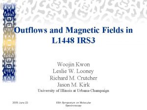Outflows and Magnetic Fields in L 1448 IRS