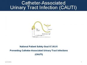 CatheterAssociated Urinary Tract Infection CAUTI National Patient Safety