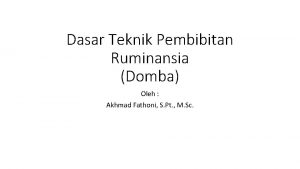 Dasar Teknik Pembibitan Ruminansia Domba Oleh Akhmad Fathoni