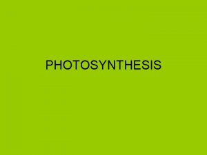 PHOTOSYNTHESIS Photosynthesis converts sunlight into chemical energy very