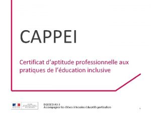 CAPPEI Certificat daptitude professionnelle aux pratiques de lducation