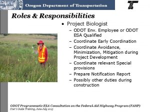 Roles Responsibilities Project Biologist ODOT Env Employee or