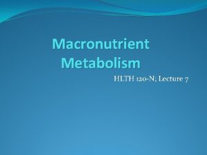 Macronutrient Metabolism HLTH 120 N Lecture 7 What