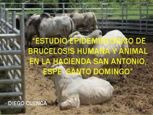 ESTUDIO EPIDEMIOLGICO DE BRUCELOSIS HUMANA Y ANIMAL EN