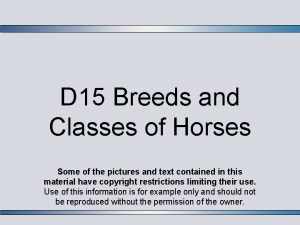 D 15 Breeds and Classes of Horses Some