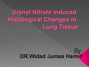 Uranyl Nitrate Induced Histological Changes in Lung Tissue
