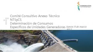 Comit Consultivo Anexo Tcnico NTSy CS Determinacin de