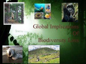 Global Implications Of Biodiversity Loss INTRODUCTION BIODIVERSITY is