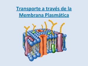 Transporte a travs de la Membrana Plasmtica Membrana