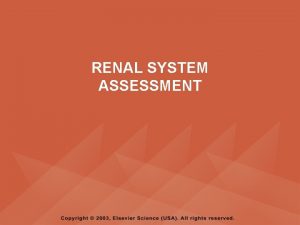 RENAL SYSTEM ASSESSMENT PYRAMID POINTS Renal and urinary