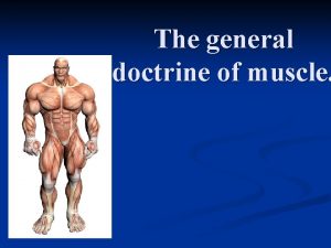 The general doctrine of muscle Naming Skeletal Muscles