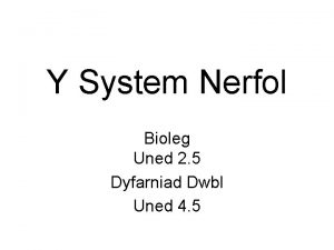 Y System Nerfol Bioleg Uned 2 5 Dyfarniad