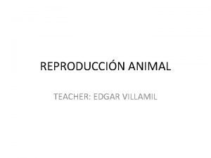 REPRODUCCIN ANIMAL TEACHER EDGAR VILLAMIL FECUNDACIN Es el