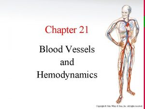 Chapter 21 Blood Vessels and Hemodynamics Copyright John