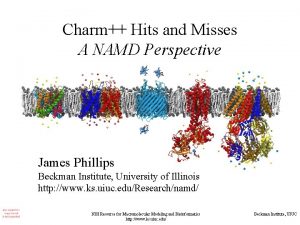 Charm Hits and Misses A NAMD Perspective James