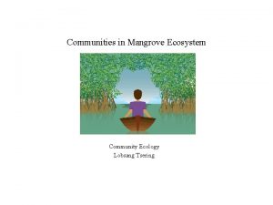 Communities in Mangrove Ecosystem Community Ecology Lobsang Tsering