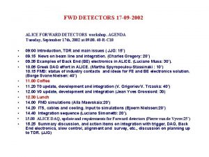 FWD DETECTORS 17 09 2002 ALICE FORWARD DETECTORS