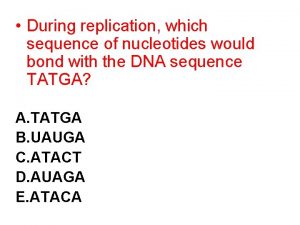 During replication which sequence of nucleotides would bond