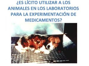 ES LCITO UTILIZAR A LOS ANIMALES EN LOS