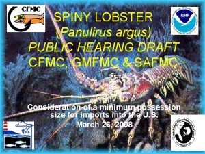 SPINY LOBSTER Panulirus argus PUBLIC HEARING DRAFT CFMC