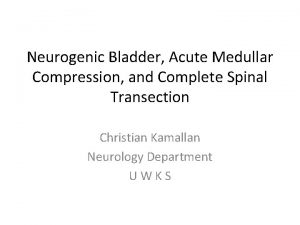 Neurogenic Bladder Acute Medullar Compression and Complete Spinal