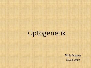 Optogenetik Attila Magyar 13 12 2019 Optogenetik eine