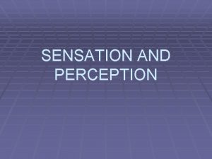 SENSATION AND PERCEPTION What is Sensation Sensation is