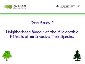 Case Study 2 Neighborhood Models of the Allelopathic