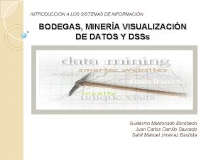 INTRODUCCIN A LOS SISTEMAS DE INFORMACIN BODEGAS MINERA