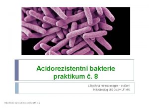 Acidorezistentn bakterie praktikum 8 Lkask mikrobiologie cvien Mikrobiologick