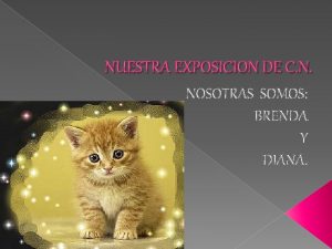 NUESTRA EXPOSICION DE C N NOSOTRAS SOMOS BRENDA